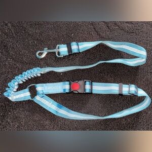 Car leash for small dogs